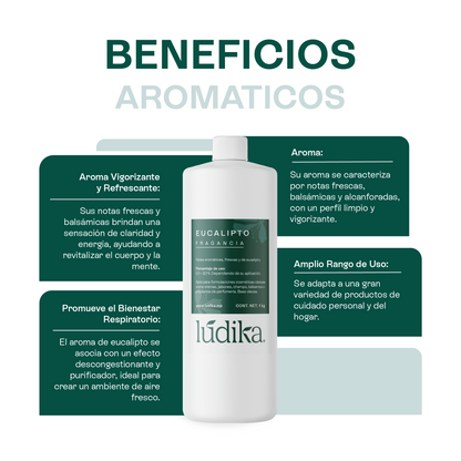 Fragancia de Eucalipto | Aroma Fresco, Balsámico y Revitalizante
