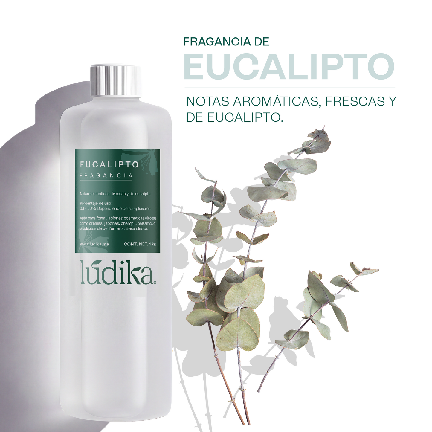 Fragancia de Eucalipto | Aroma Fresco, Balsámico y Revitalizante