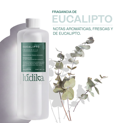 Fragancia de Eucalipto | Aroma Fresco, Balsámico y Revitalizante