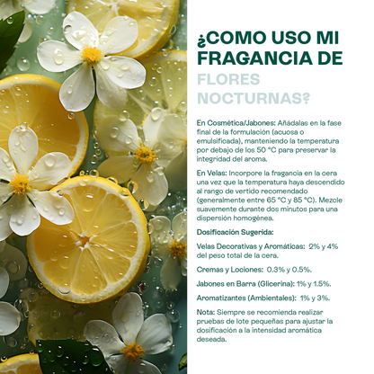 Fragancias Bienestar | Ambientación y Relajación | Velas, Difusores y Jabones