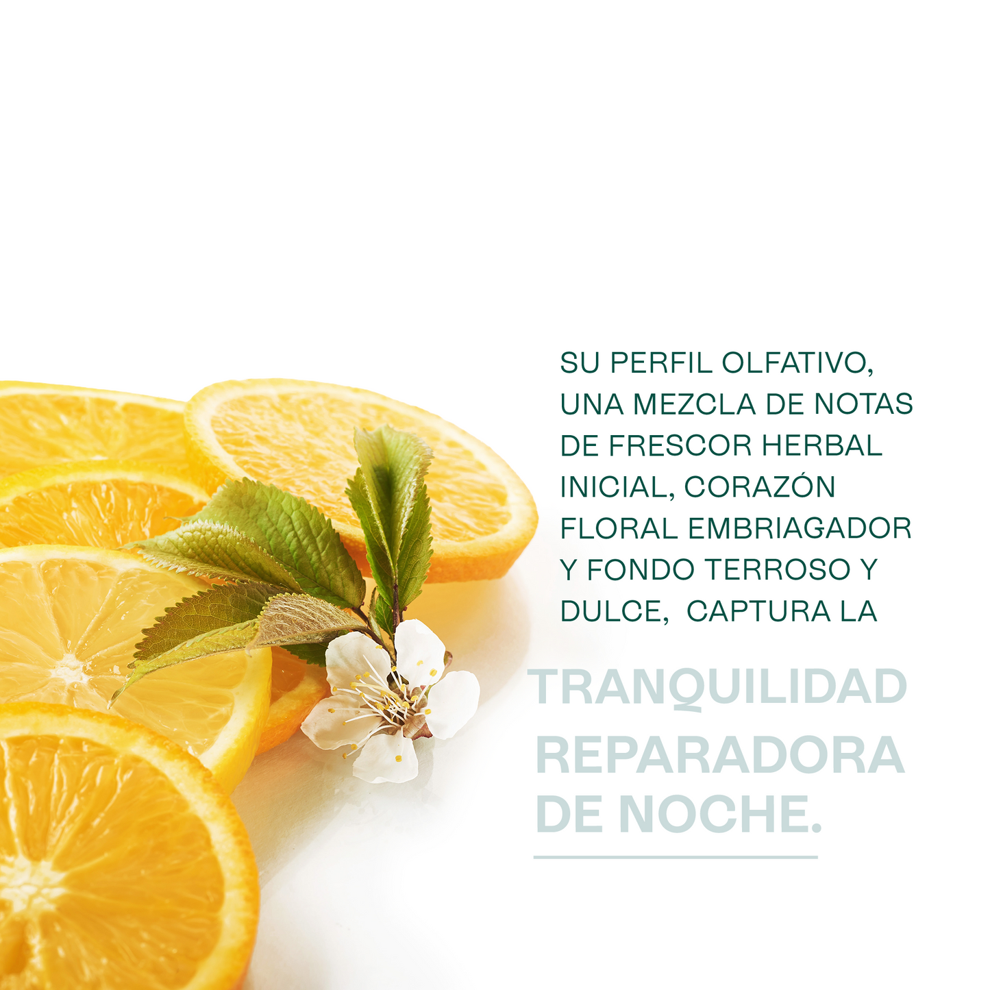 Fragancias Bienestar | Ambientación y Relajación | Velas, Difusores y Jabones