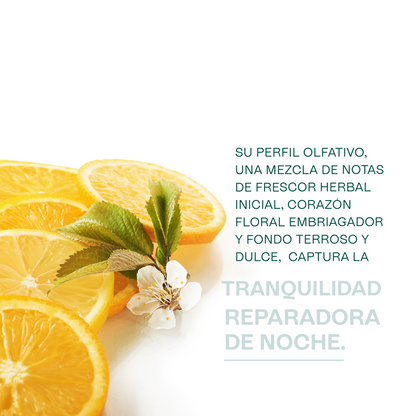 Fragancias Bienestar | Ambientación y Relajación | Velas, Difusores y Jabones