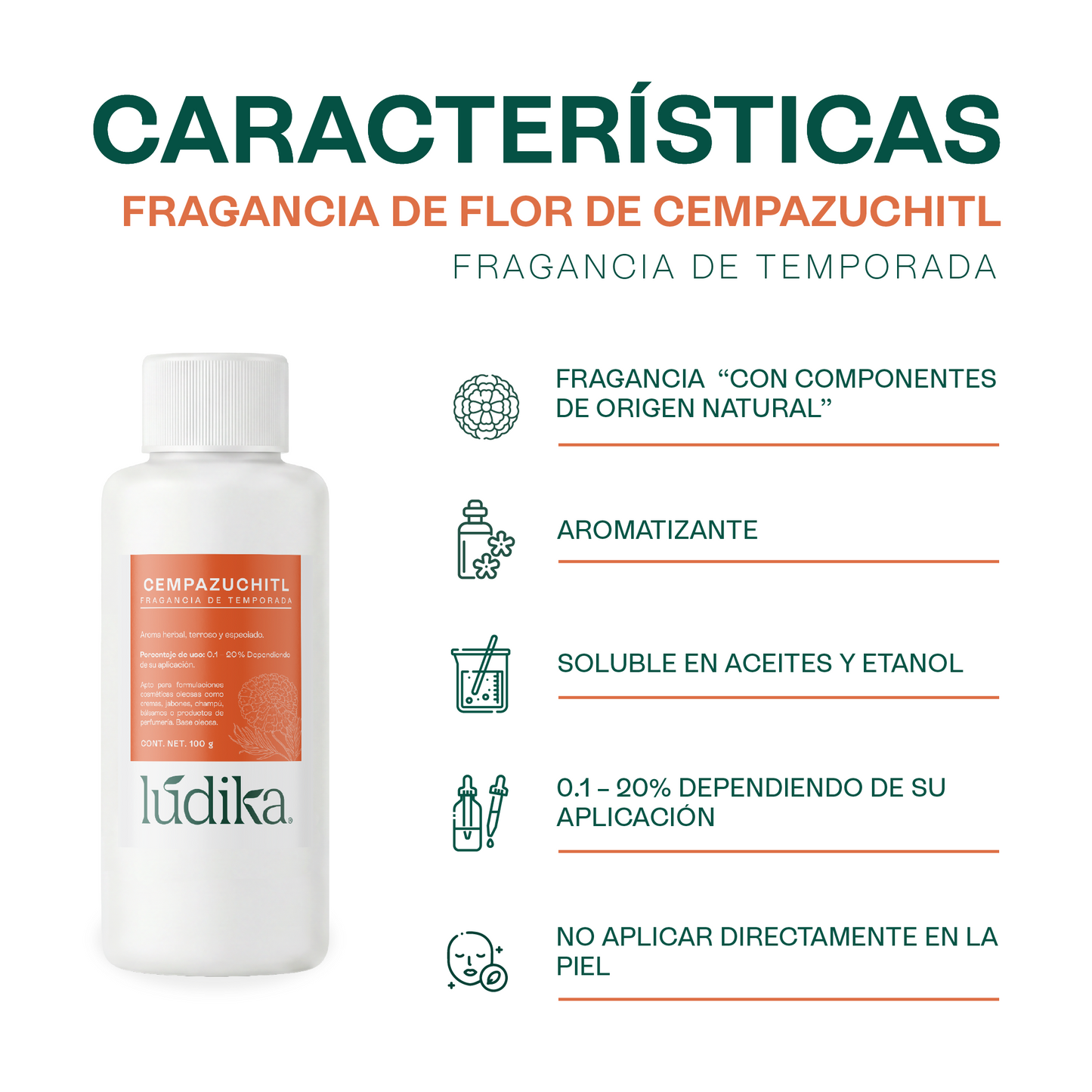 Fragancias de Temporada | Halloween y Navidad | Velas y jabones