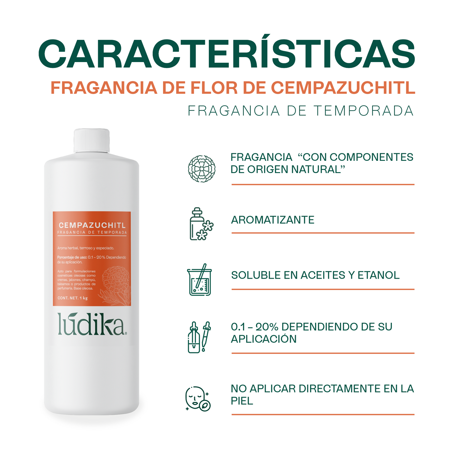 Fragancias de Temporada | Halloween y Navidad | Velas y jabones