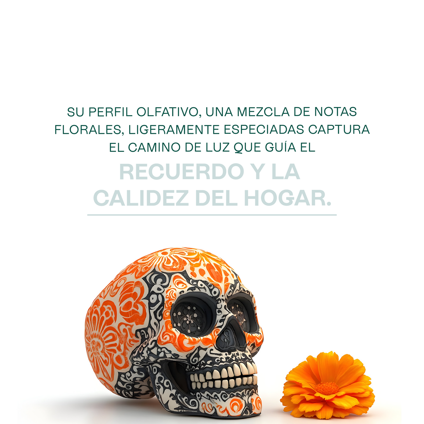 Fragancias de Temporada | Halloween y Navidad | Velas y jabones