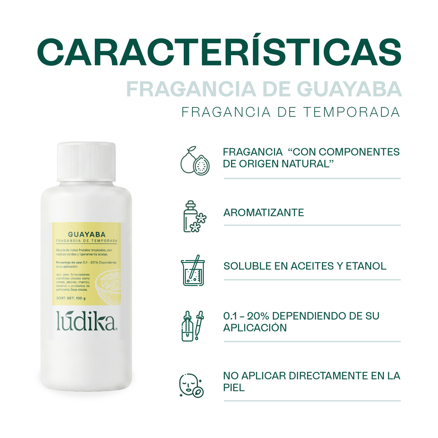 Fragancias de Temporada | Halloween y Navidad | Velas y jabones