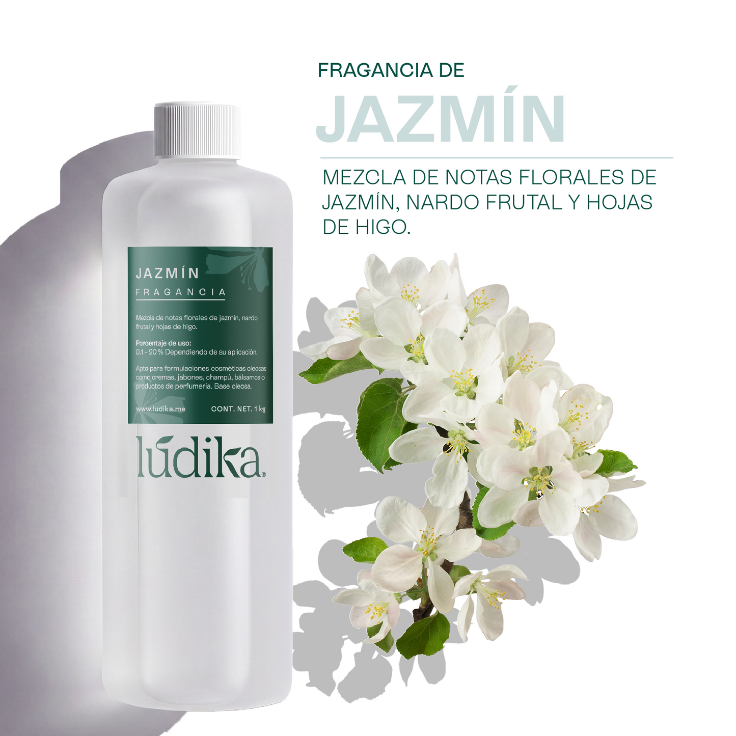 Fragancia de Jazmín | Aroma Floral, Dulce y Exótico