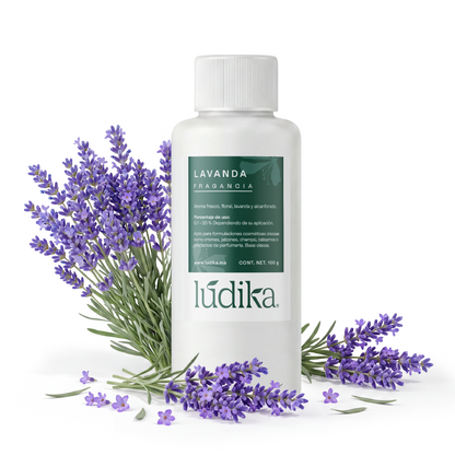 Fragancia de Lavanda | Aroma Floral, Herbal y Calmante