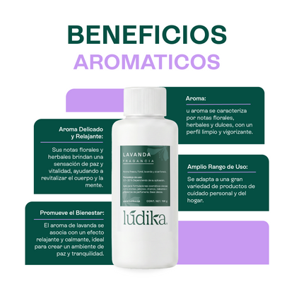 Fragancia de Lavanda | Aroma Floral, Herbal y Calmante