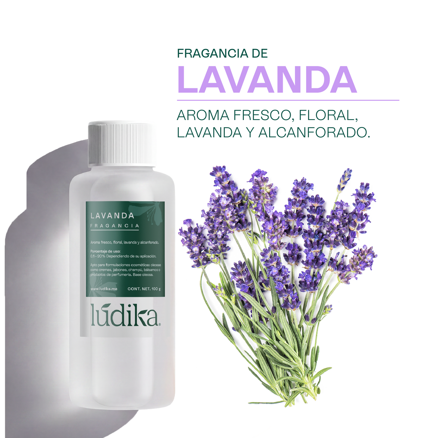 Fragancia de Lavanda | Aroma Floral, Herbal y Calmante