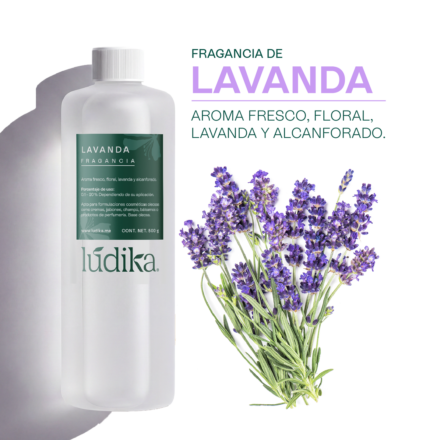Fragancia de Lavanda | Aroma Floral, Herbal y Calmante