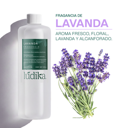 Fragancia de Lavanda | Aroma Floral, Herbal y Calmante