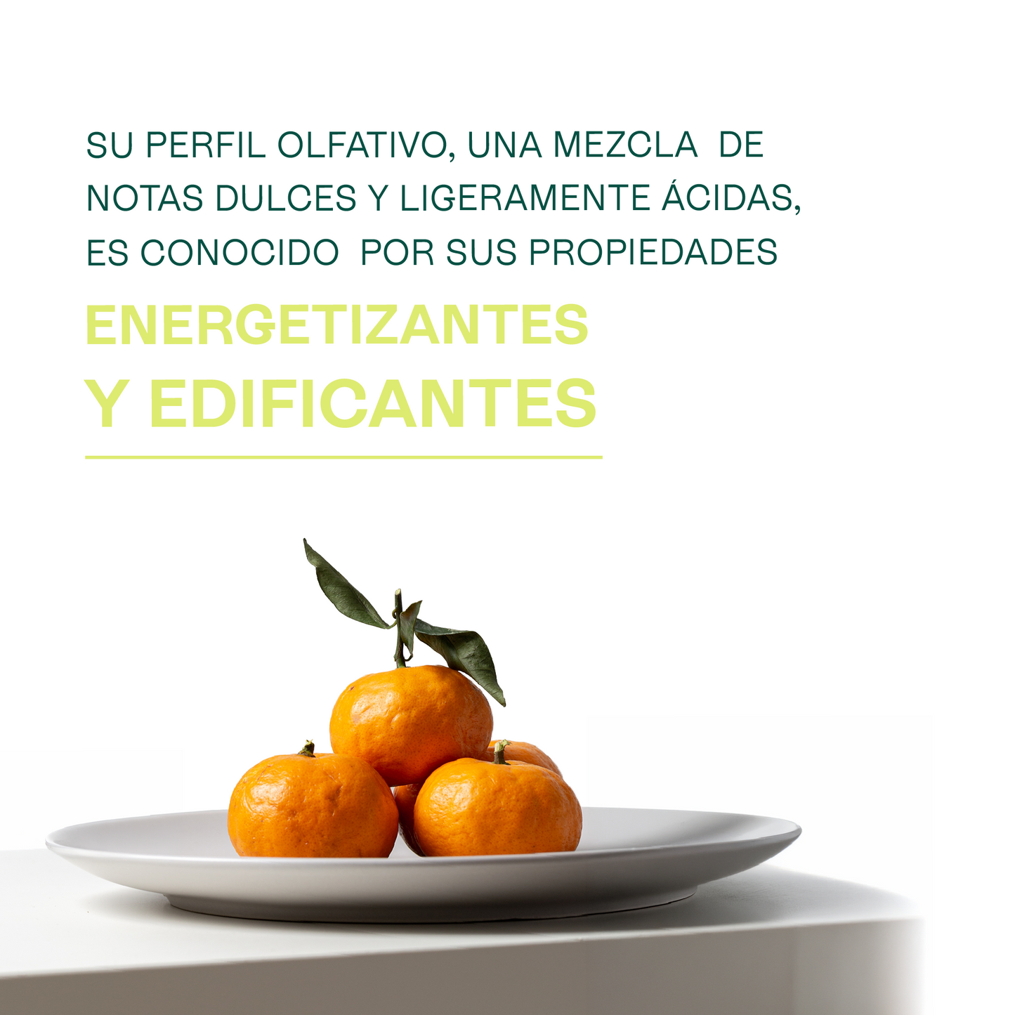 Fragancias de Temporada | Halloween y Navidad | Velas y jabones