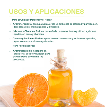 Fragancias de Temporada | Halloween y Navidad | Velas y jabones