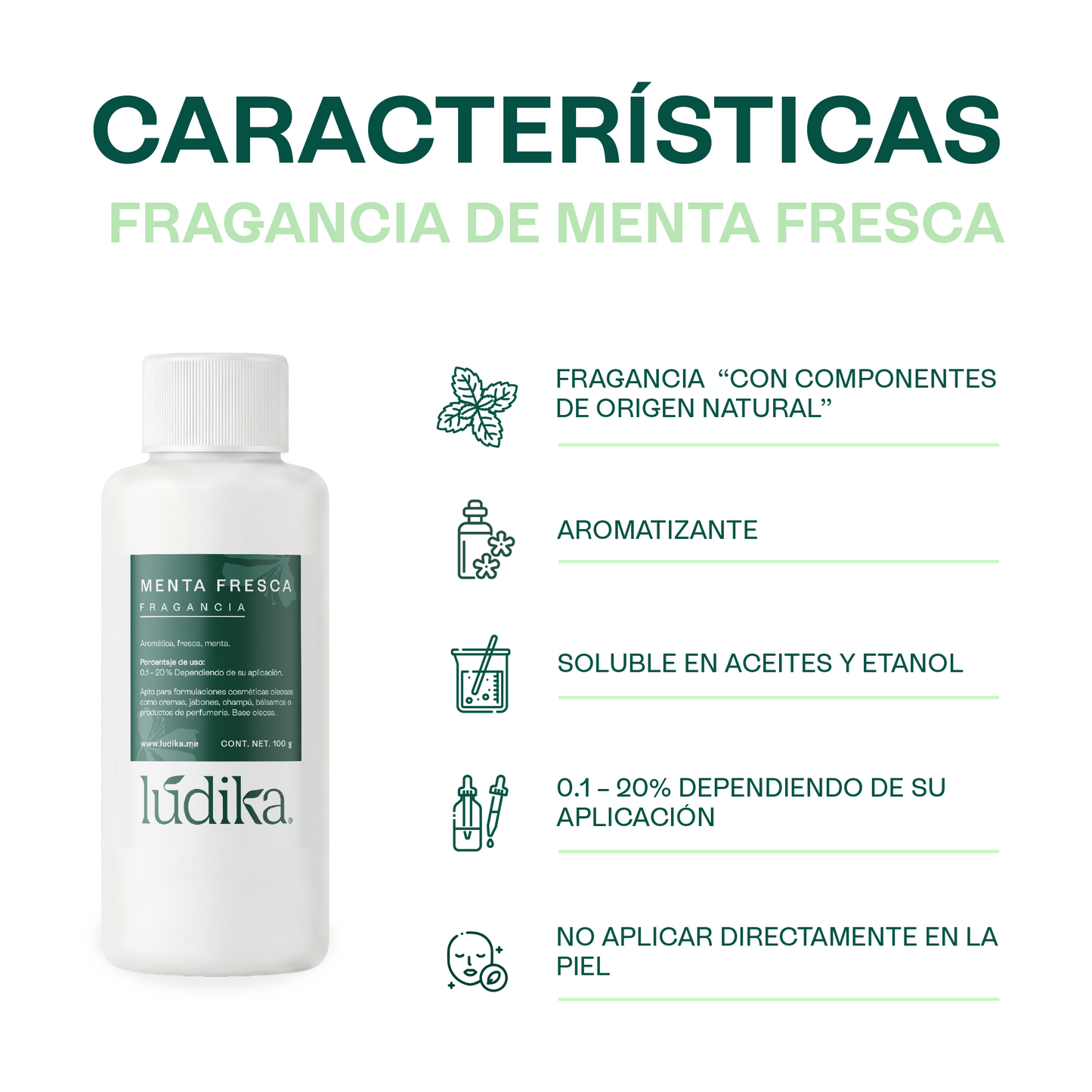 Fragancia de Menta Fresca | Aroma Fresco, Dulce y Revitalizante