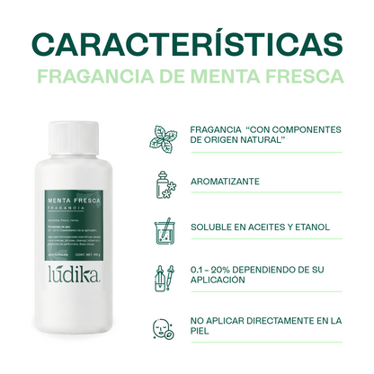 Fragancia de Menta Fresca | Aroma Fresco, Dulce y Revitalizante