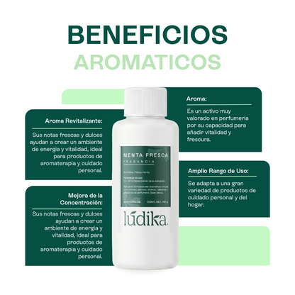 Fragancia de Menta Fresca | Aroma Fresco, Dulce y Revitalizante