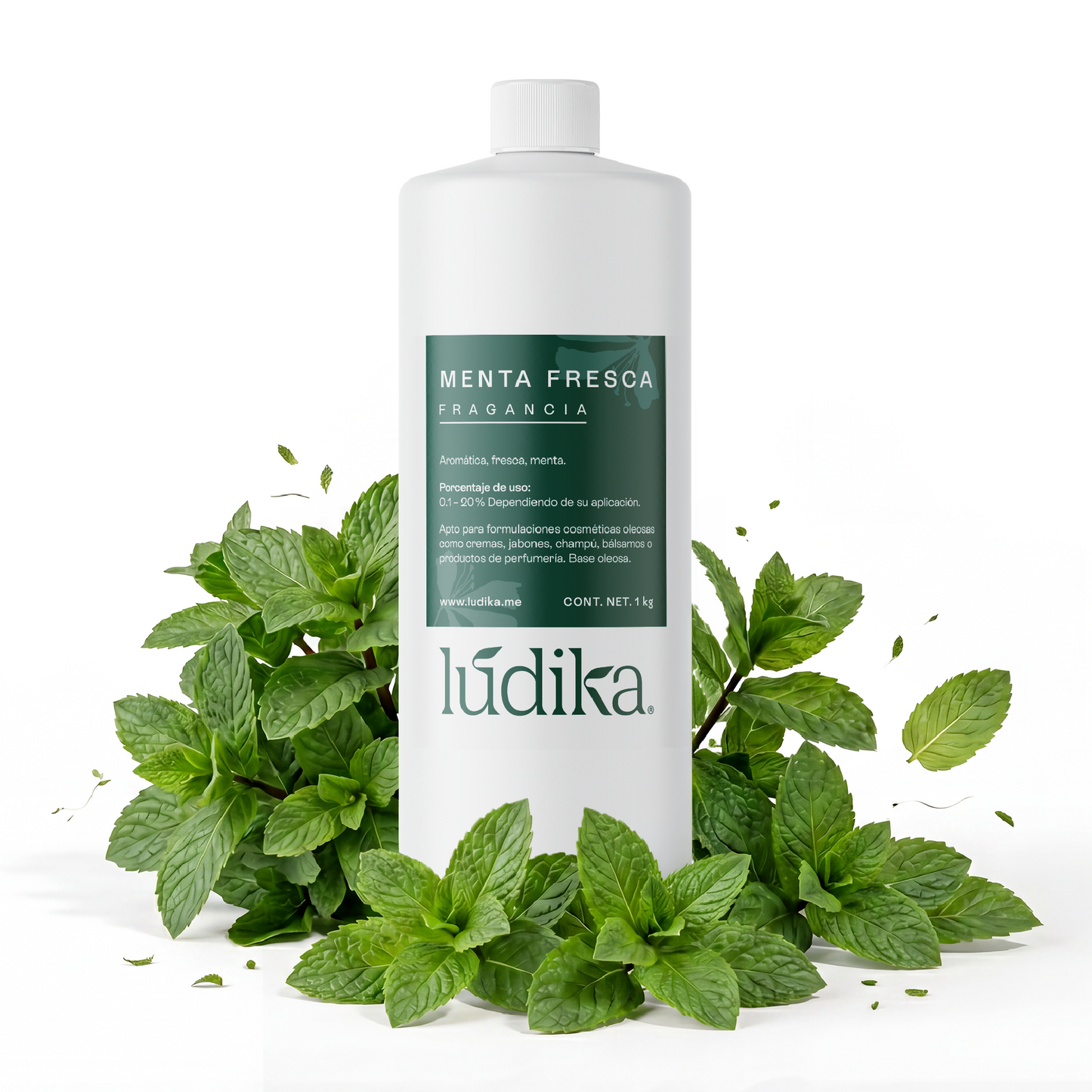 Fragancia de Menta Fresca | Aroma Fresco, Dulce y Revitalizante