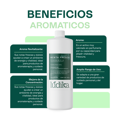 Fragancia de Menta Fresca | Aroma Fresco, Dulce y Revitalizante