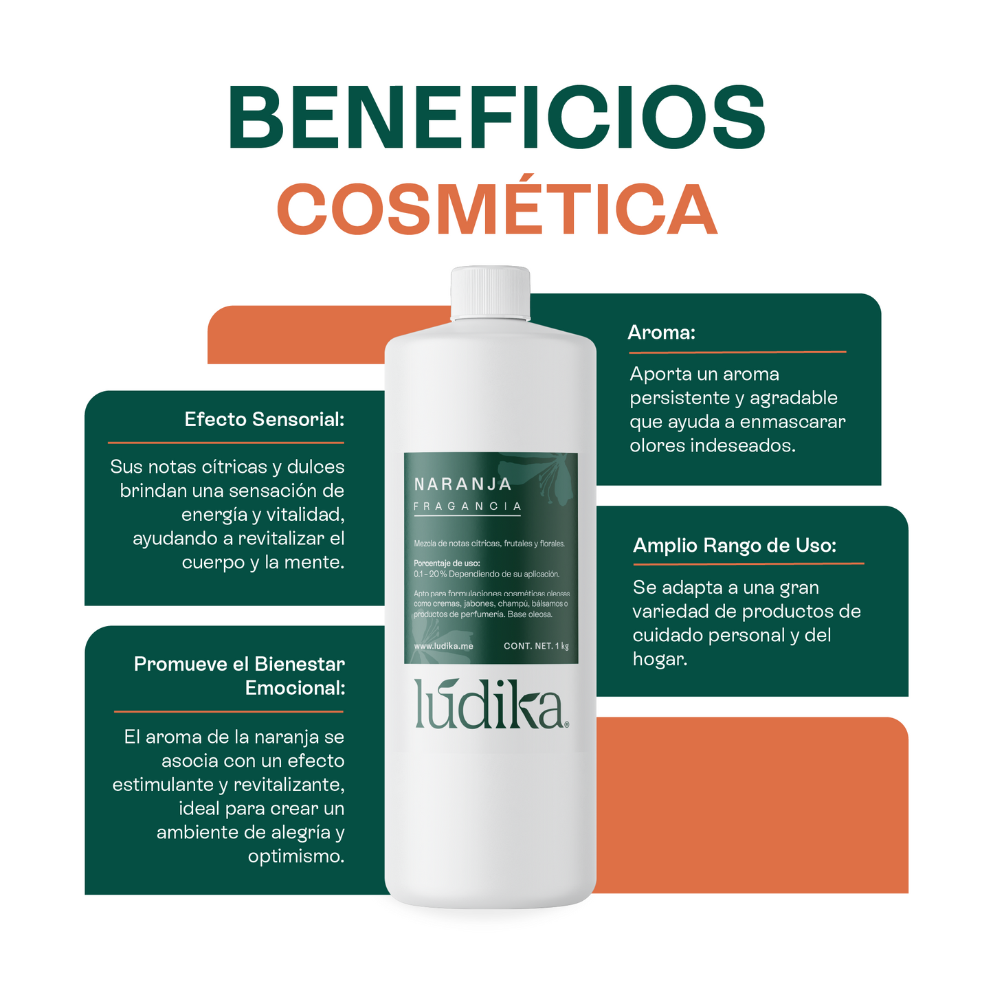 Fragancia de Naranja | Aroma Cítrico, Dulce y Energizante