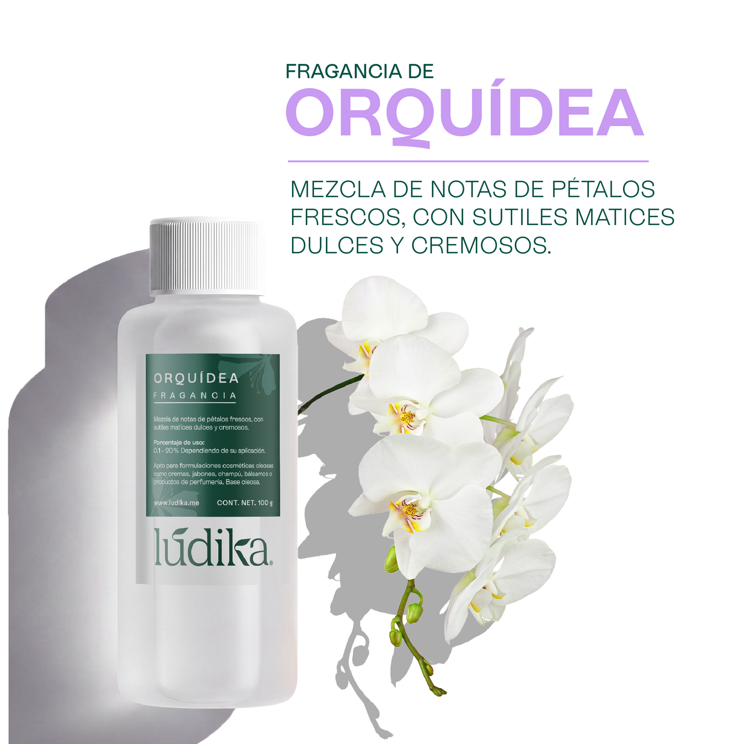 Fragancia de Orquídea | Aroma Floral, Dulce y Sofisticado