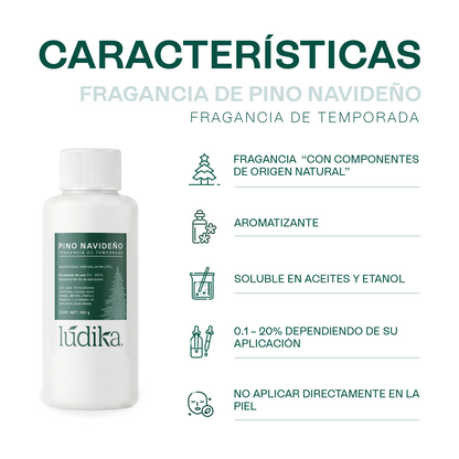 Fragancias de Temporada | Halloween y Navidad | Velas y jabones