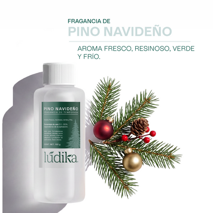 Fragancias de Temporada | Halloween y Navidad | Velas y jabones
