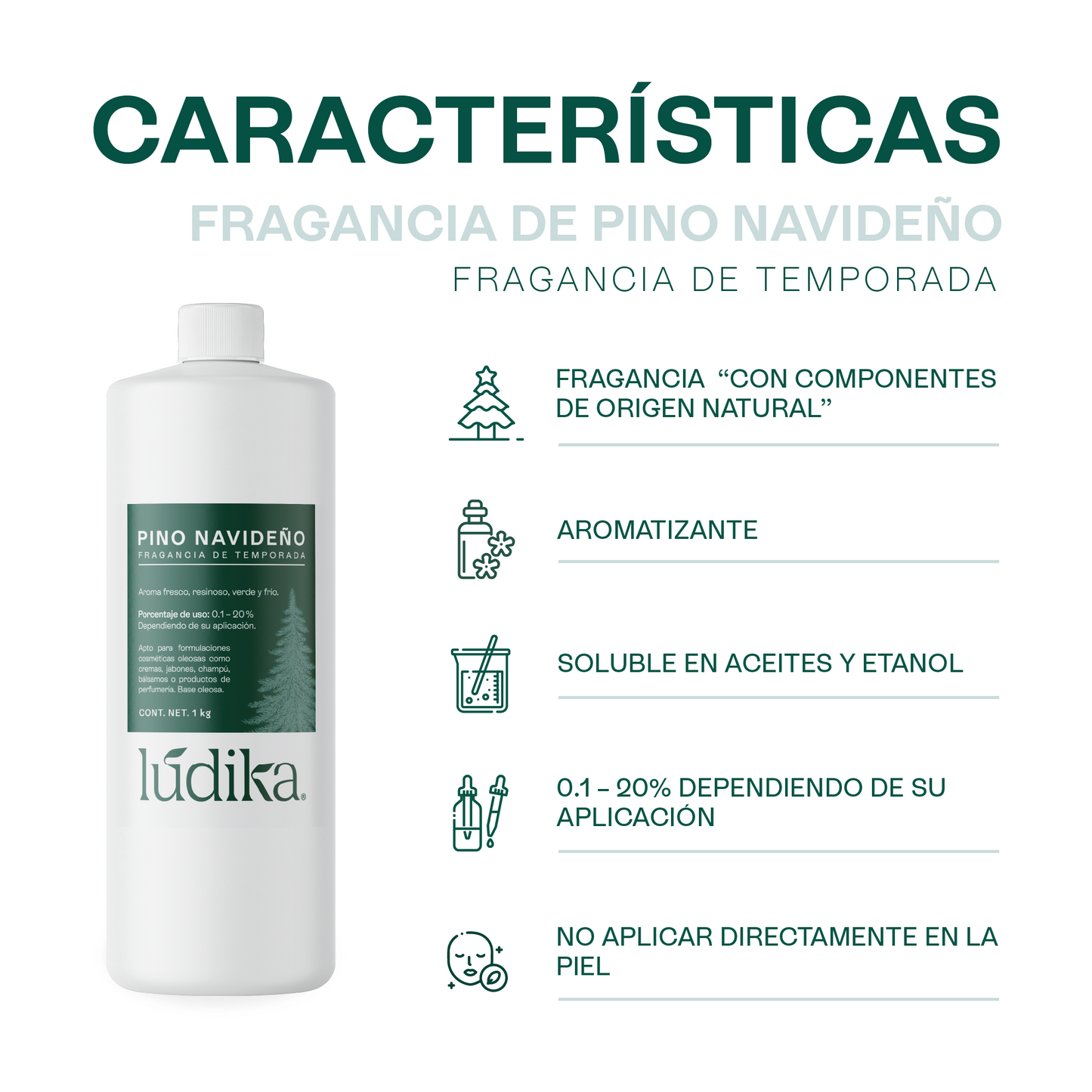 Fragancias de Temporada | Halloween y Navidad | Velas y jabones