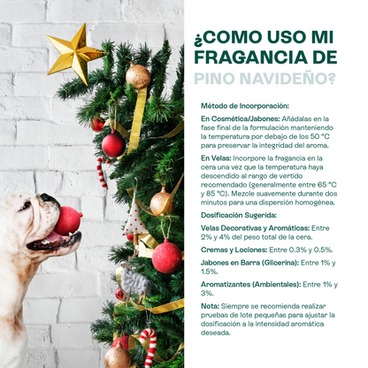 Fragancias de Temporada | Halloween y Navidad | Velas y jabones