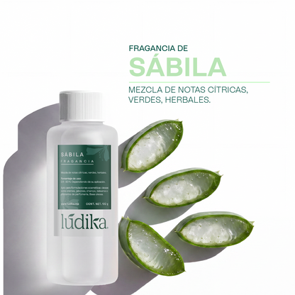 Fragancia de Sábila | Aroma con Notas Cítricas, Verdes, Herbales.