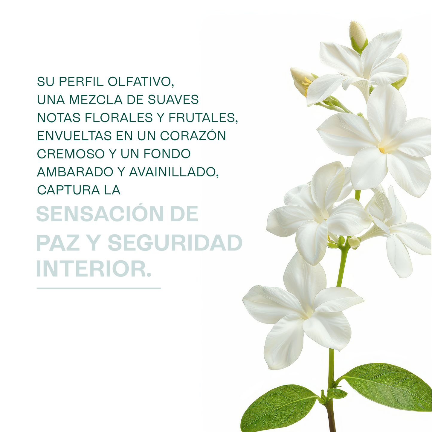 Fragancias Bienestar | Ambientación y Relajación | Velas, Difusores y Jabones