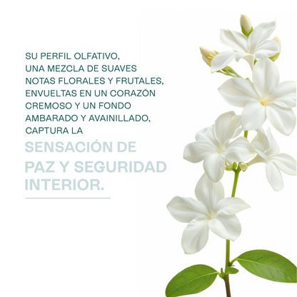 Fragancias Bienestar | Ambientación y Relajación | Velas, Difusores y Jabones