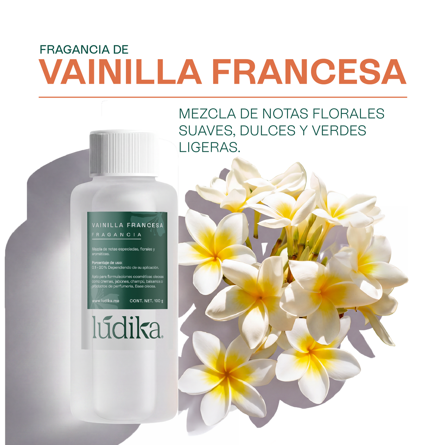 Fragancia de Vainilla Francesa | Aroma Dulce, Acogedor y Sofisticado