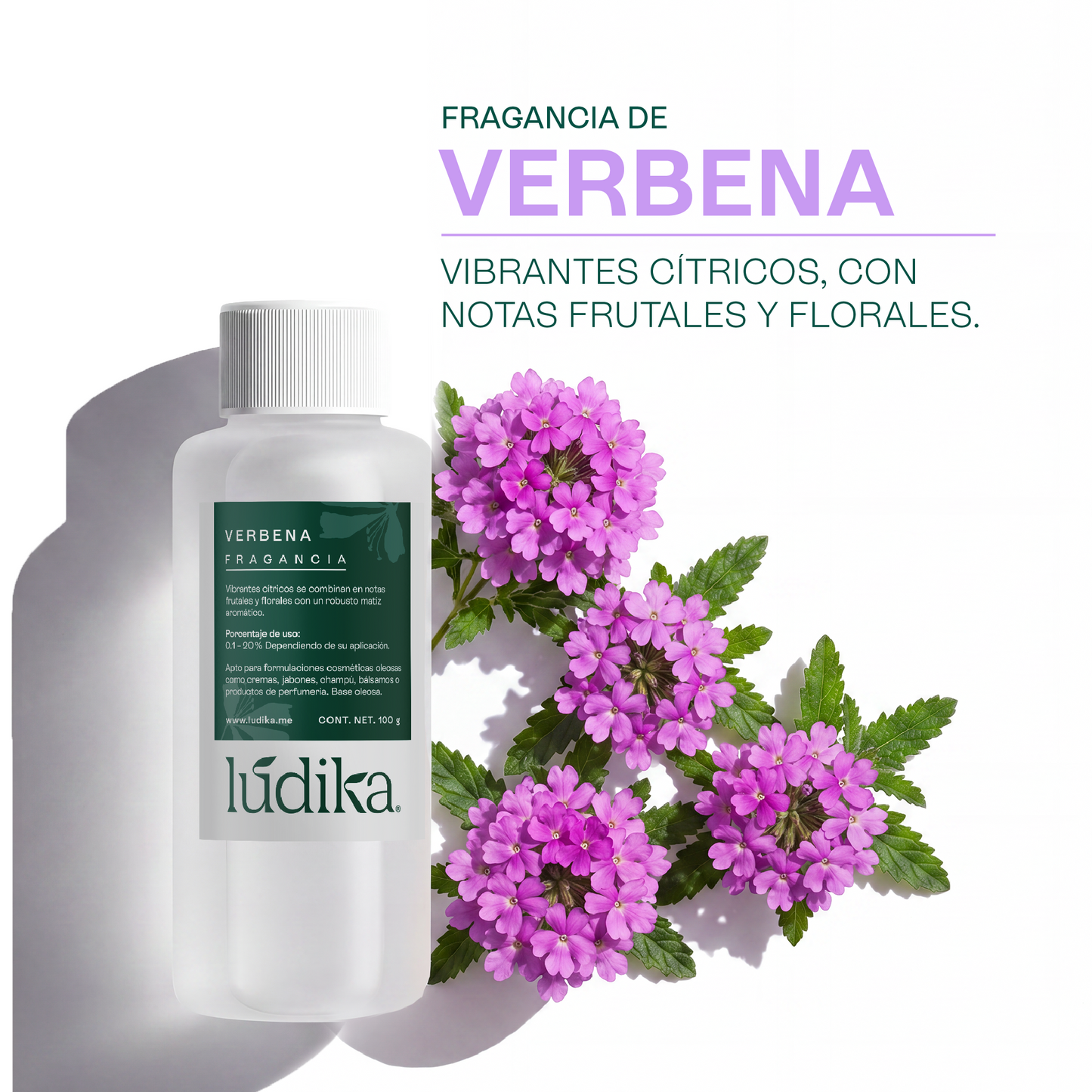 Fragancia de Verbena | Aroma Cítrico, Herbal y Revitalizante