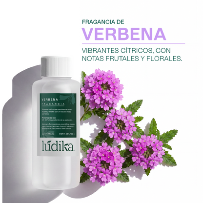 Fragancia de Verbena | Aroma Cítrico, Herbal y Revitalizante
