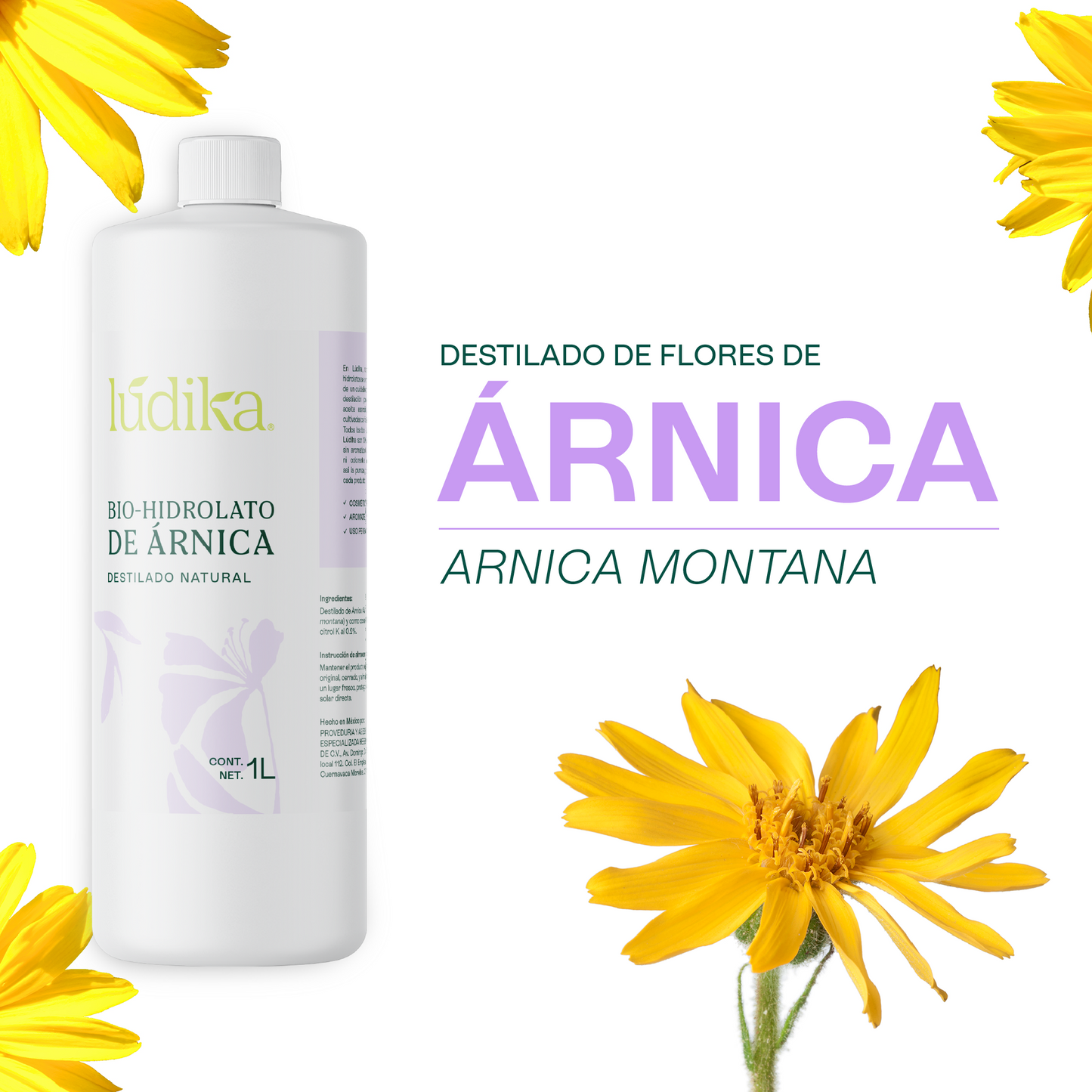 Bio Hidrolato de Árnica | Facial y Corporal | Calmante, Descongestivo y Reparador