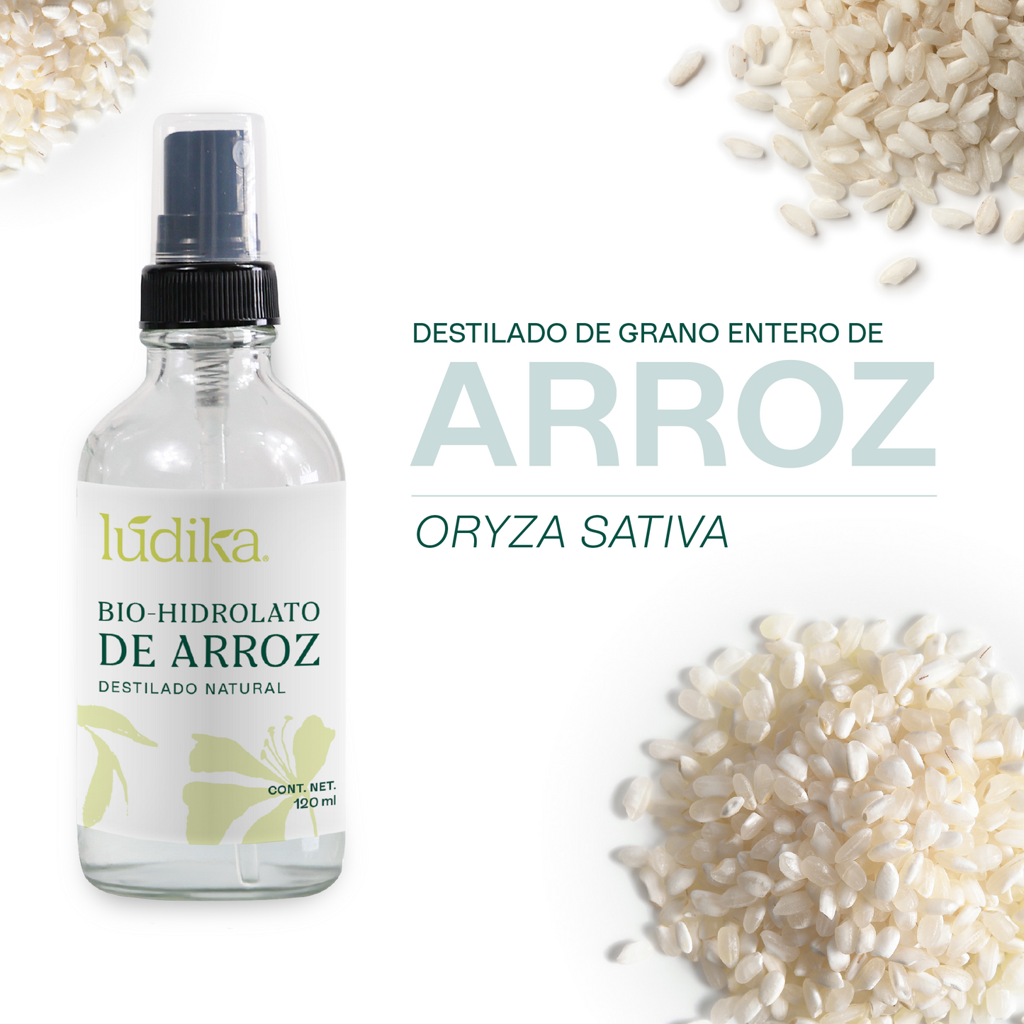 Bio Hidrolato de Arroz Integral | Facial y Corporal | Iluminador, Calmante e Hidratante