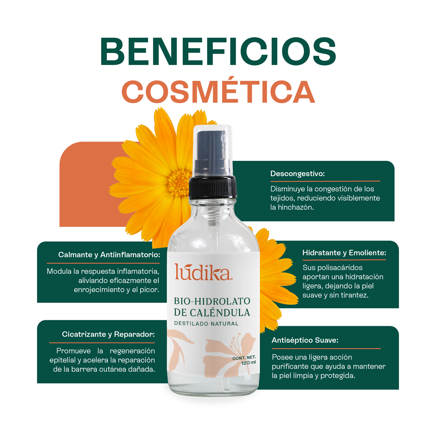 Bio Hidrolato de Caléndula | Facial y Corporal | Calmante, Reparador y Cicatrizante
