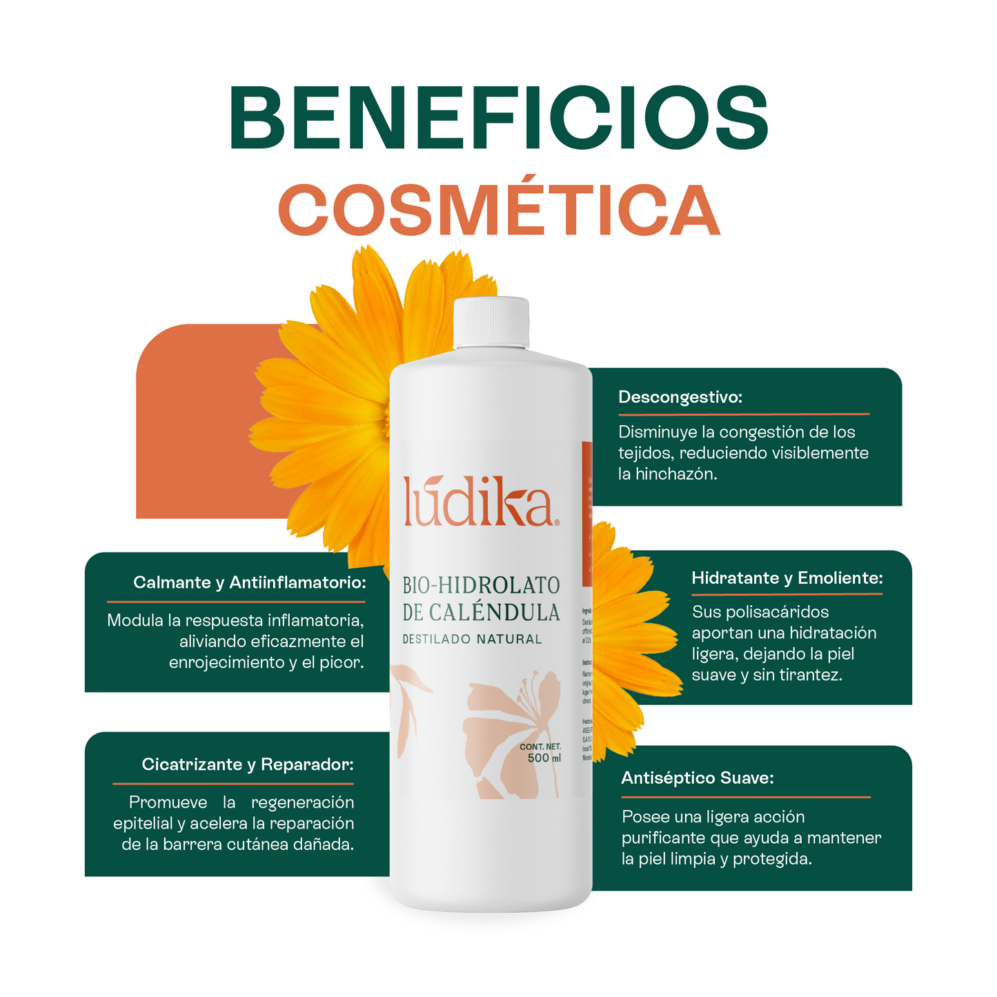 Bio Hidrolato de Caléndula | Facial y Corporal | Calmante, Reparador y Cicatrizante