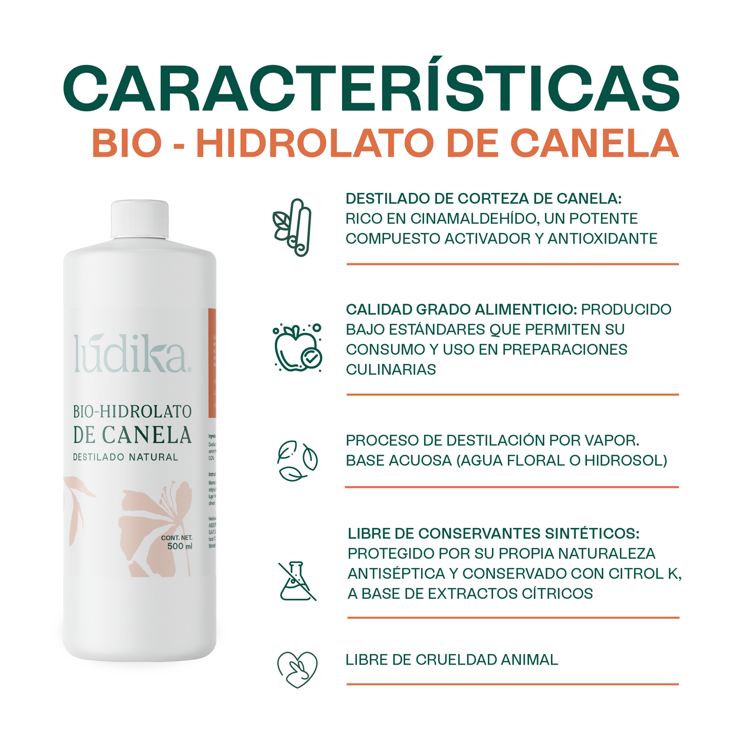 Bio Hidrolato de Canela Puro | Energizante, Antioxidante y Purificante para Piel y Ambiente
