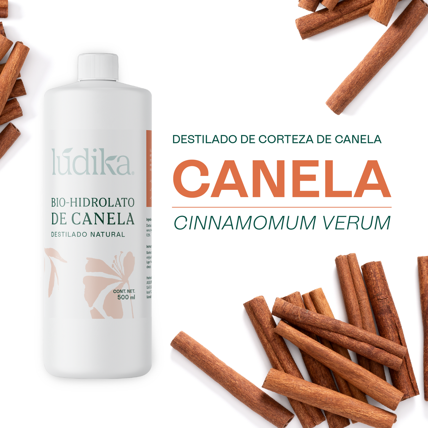 Bio Hidrolato de Canela Puro | Energizante, Antioxidante y Purificante para Piel y Ambiente