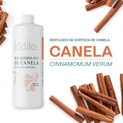 Bio Hidrolato de Canela Puro | Energizante, Antioxidante y Purificante para Piel y Ambiente