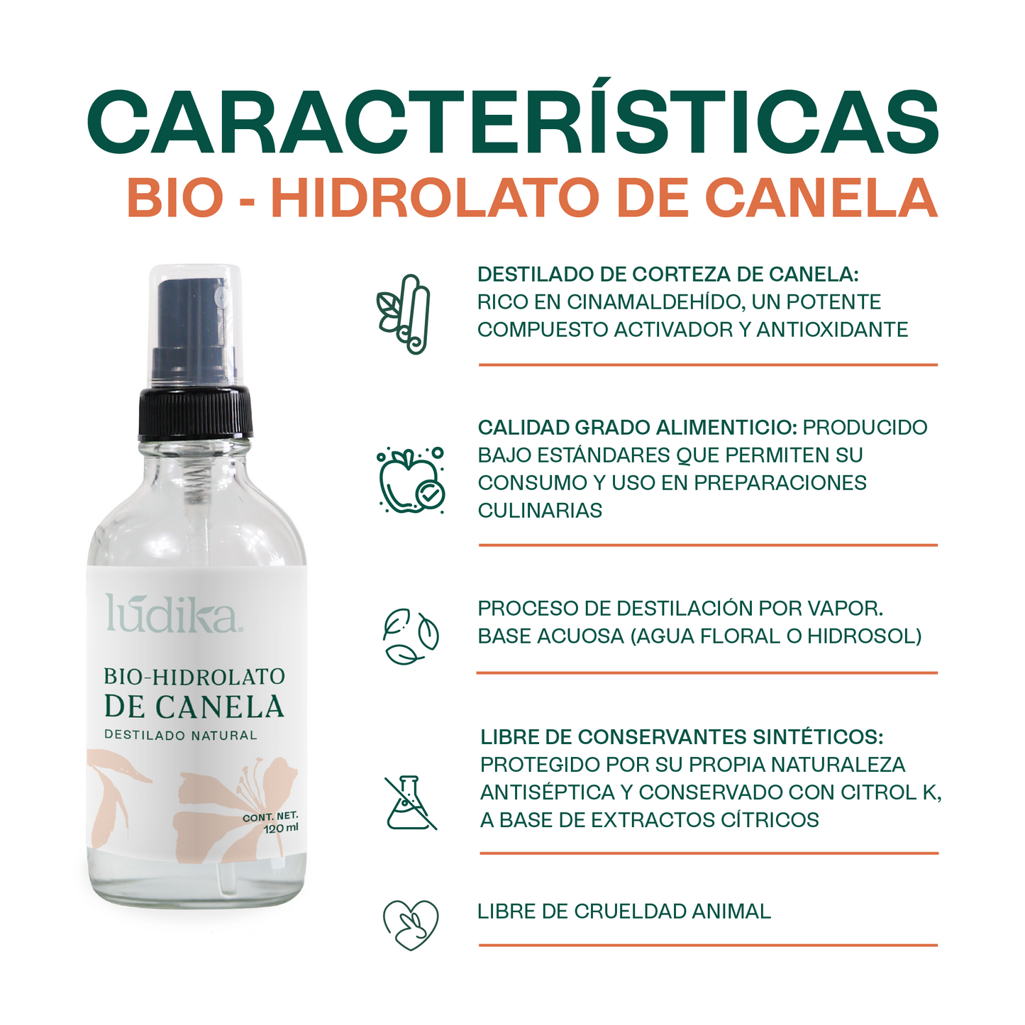 Bio Hidrolato de Canela Puro | Energizante, Antioxidante y Purificante para Piel y Ambiente