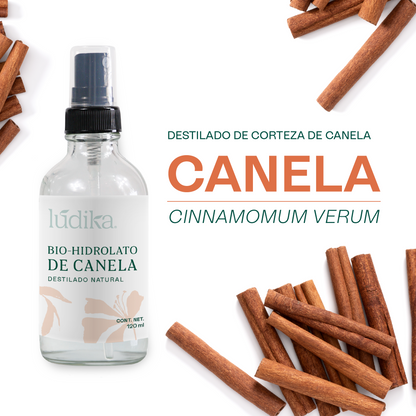 Bio Hidrolato de Canela Puro | Energizante, Antioxidante y Purificante para Piel y Ambiente