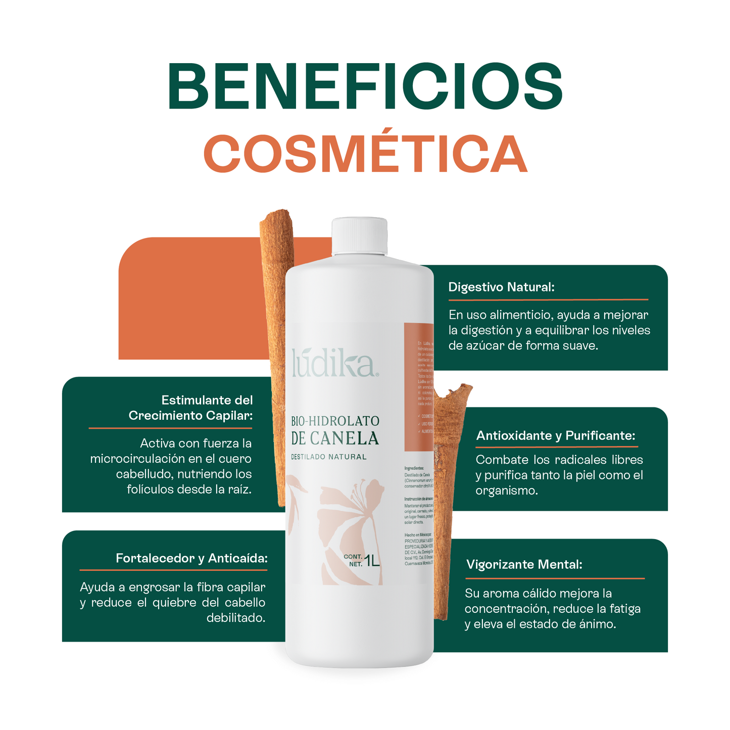 Bio Hidrolato de Canela Puro | Energizante, Antioxidante y Purificante para Piel y Ambiente