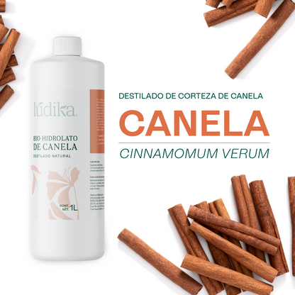 Bio Hidrolato de Canela Puro | Energizante, Antioxidante y Purificante para Piel y Ambiente