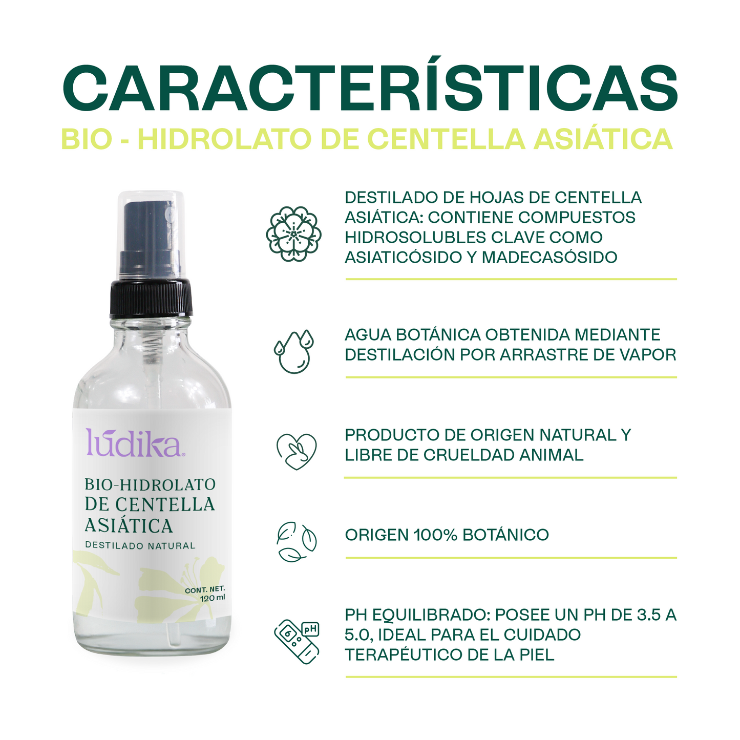 Bio Hidrolato de Centella Asiática | Facial y Corporal | Reparador, Cicatrizante y Antiinflamatorio