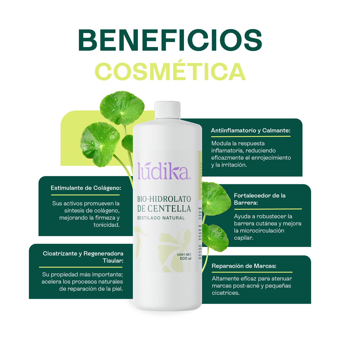 Bio Hidrolato de Centella Asiática | Facial y Corporal | Reparador, Cicatrizante y Antiinflamatorio