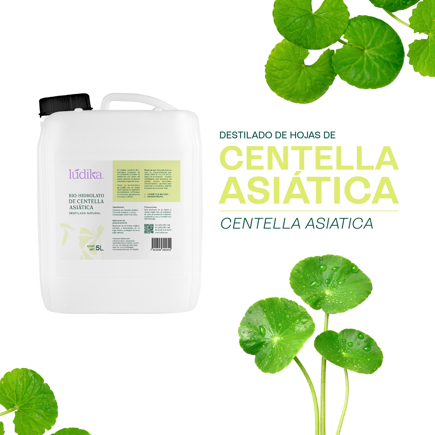 Bio Hidrolato de Centella Asiática | Facial y Corporal | Reparador, Cicatrizante y Antiinflamatorio