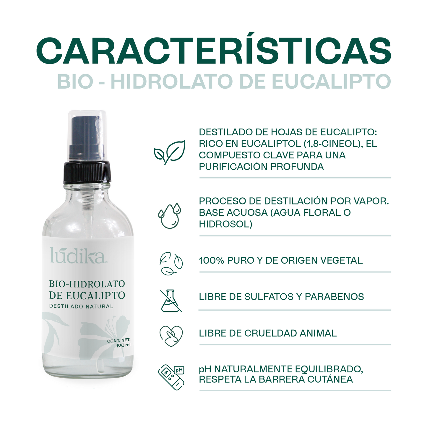 Hidrolato de Eucalipto | Facial y Corporal | Purificante, Astringente y Refrescante
